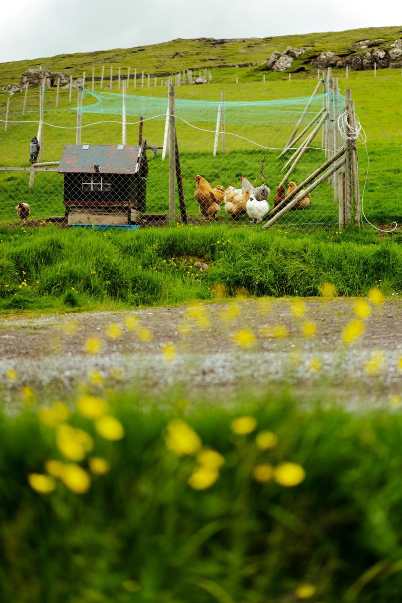 A Snaetu - Serene Village Stay Surrounded By Nature Sandavagur Экстерьер фото